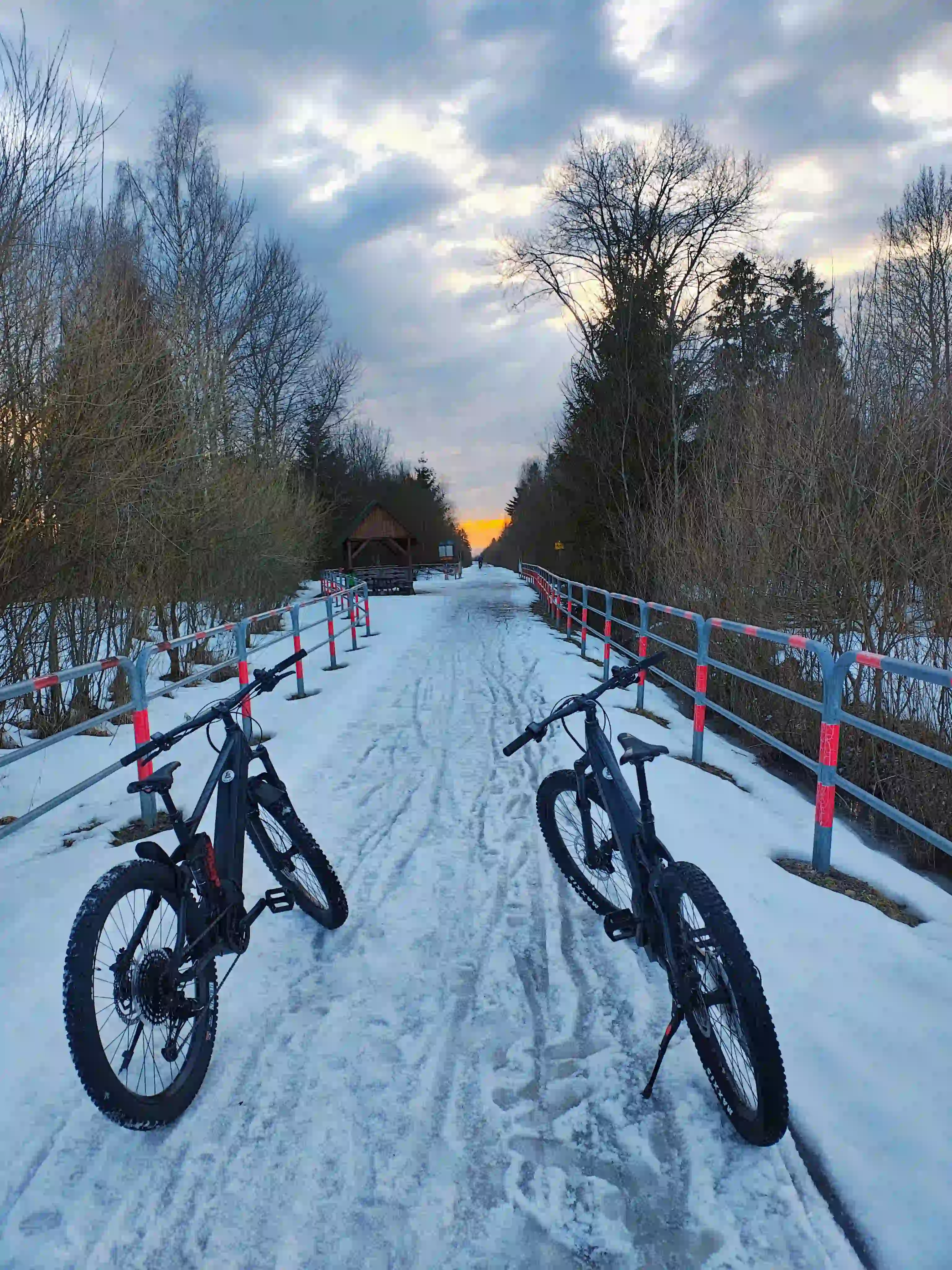 Grupa rowerzystow przed wypozyczalnia rowerow