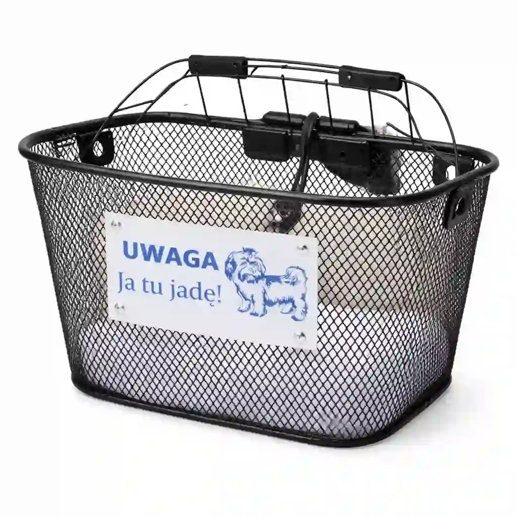 Koszyk dla psa - akcesorium rowerowe do wynajmu
