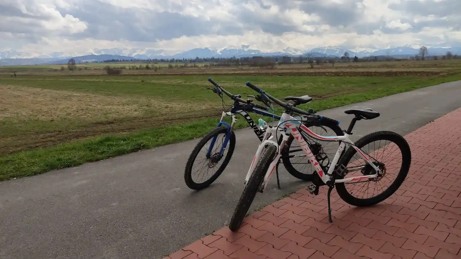 Rzad rowerow przy wypozyczalni U Asi